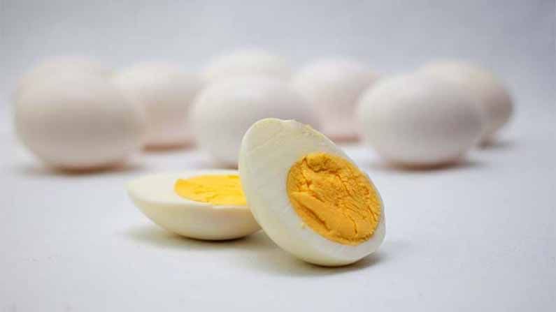 दररोज अंडी खाण्याचे 'हे' फायदे माहिती आहेत का? वाचा !