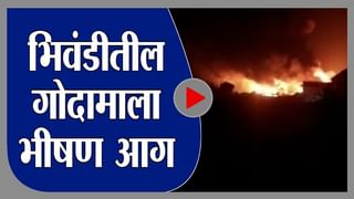 Palghar | डहाणू, तारापूर परिसरात युरोपियन कलहंस पक्षांचे आगमन