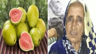 Budaun | उत्तर प्रदेशात 50 वर्षीय महिलेची गँगरेपनंतर हत्या, 2 संशयित आरोपी अटकेत