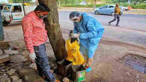 Bird Flu | राज्यात पुन्हा बर्ड फ्लूचा उद्रेक, नंदुरबारमध्ये आणखी 6 लाख कोंबड्यांची किलिंग