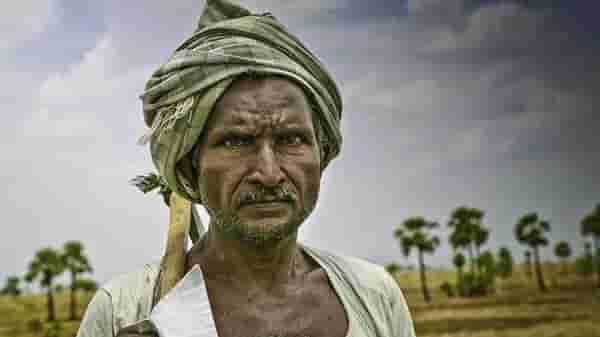 Fack Check : कृषी कायद्यांतर्गत खरंच शेतकऱ्यांच्या जमिनी हिसकावणार? वाचा सत्य