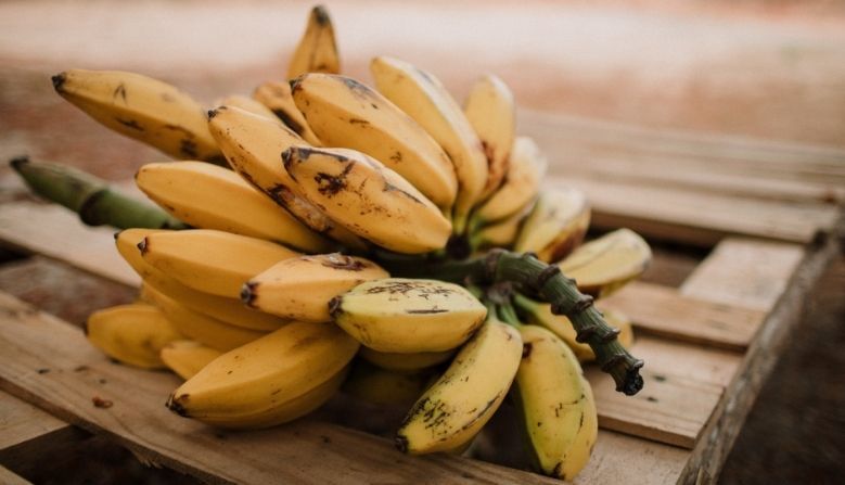अगदी सोप्या पद्धतीने या व्यवसायाला सुरूवात करून तुम्ही महिन्याला एका लाखांपर्यंत कमवू शकता. हा व्यवसाय केळ्यांच्या चिप्सचा (banana chips) आहे. केळ्याचे चिप्स हे आरोग्यासाठीही चांगले असतात. 