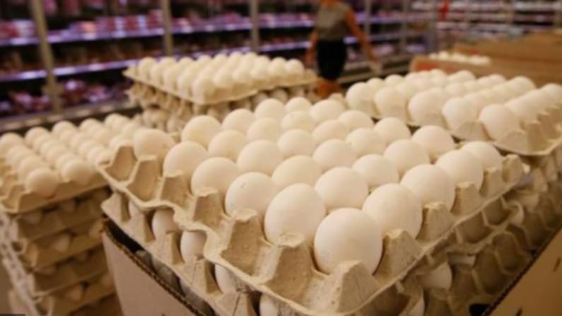 आधी कोरोनाचा फटका, आता नवं संकट, थंडीतही अंडे आणि चिकनच्या किमती कमी होण्याचं कारण काय?