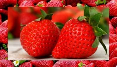 रोगप्रतिकारक शक्ती वाढवण्यासाठी स्ट्रॉबेरी सुपरफूड, वाचा याबद्दल अधिक !