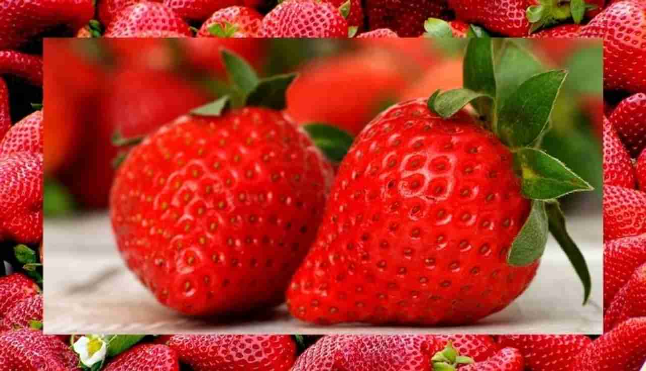 रोगप्रतिकारक शक्ती वाढवण्यासाठी स्ट्रॉबेरी सुपरफूड, वाचा याबद्दल अधिक !