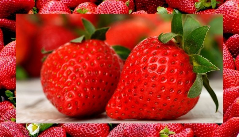 रोगप्रतिकारक शक्ती वाढवण्यासाठी 'स्ट्रॉबेरी' सुपरफूड, वाचा याबद्दल अधिक !