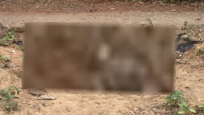 ठाण्यात आधी 16 पक्षांचा मृत्यू, आता पुन्हा गिधाडं आणि बगळे मृत सापडल्याने धाकधूक वाढली