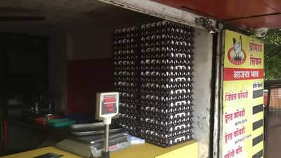 Bird Flu | पोल्ट्री फार्म मालक आणि दुकानदारांच्या तोंडचं पाणी पळालं!