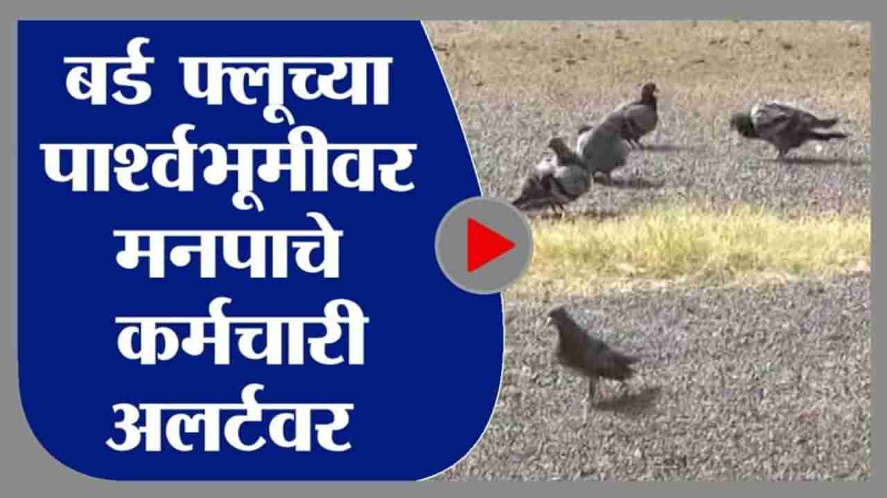 Kanjurmarg | मुंबईत बर्ड फ्लूच्या पार्श्वभूमीवर मनपाचे कर्मचारी अलर्टवर