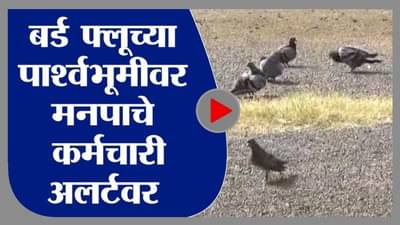 Kanjurmarg | मुंबईत बर्ड फ्लूच्या पार्श्वभूमीवर मनपाचे कर्मचारी अलर्टवर