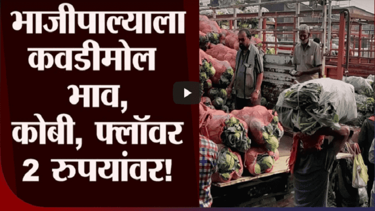 Vegitable Rate Down | संक्रांतीच्या मुहूर्तावर भाजीपाल्याला कवडीमोल भाव, वाहतूक खर्चही निघेना