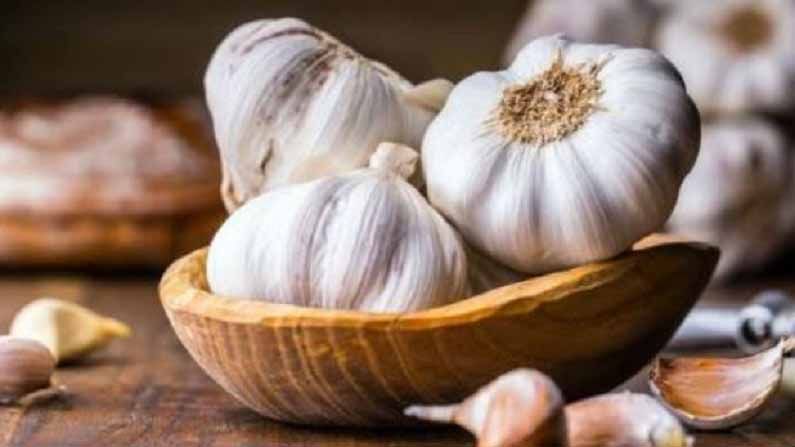 Garlic | आरोग्याच्या ‘या’ समस्यांनी त्रस्त आहात? मग, लसणाचे सेवन करताना विचार करा!