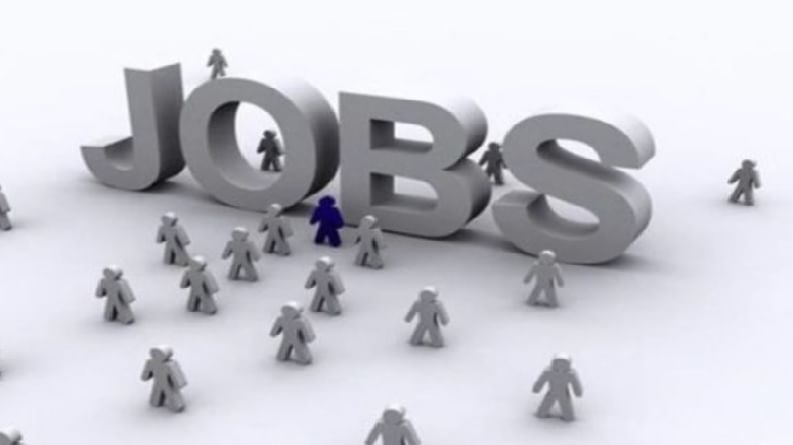 Job Vacancy | 'या' कंपनीच्या महसुलात मोठी वाढ, आगामी काळात 20 हजार जणांना नोकरी देणार