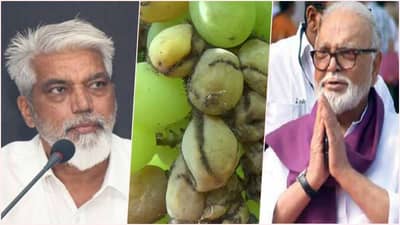 कृषीमंत्री आणि अन्न नागरी पुरवठा मंत्र्यांच्या जिल्ह्यात अवकाळी पावसानं बळीराजा दुहेरी संकटात