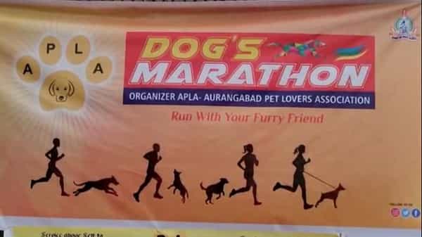 तुम्ही माणसांच्या मॅरेथॉनबद्दल नेहमी एकलं असेल मात्र औरंगाबादमध्ये एक आगळी वेगळी मॅरेथॉन पाहायला मिळली.