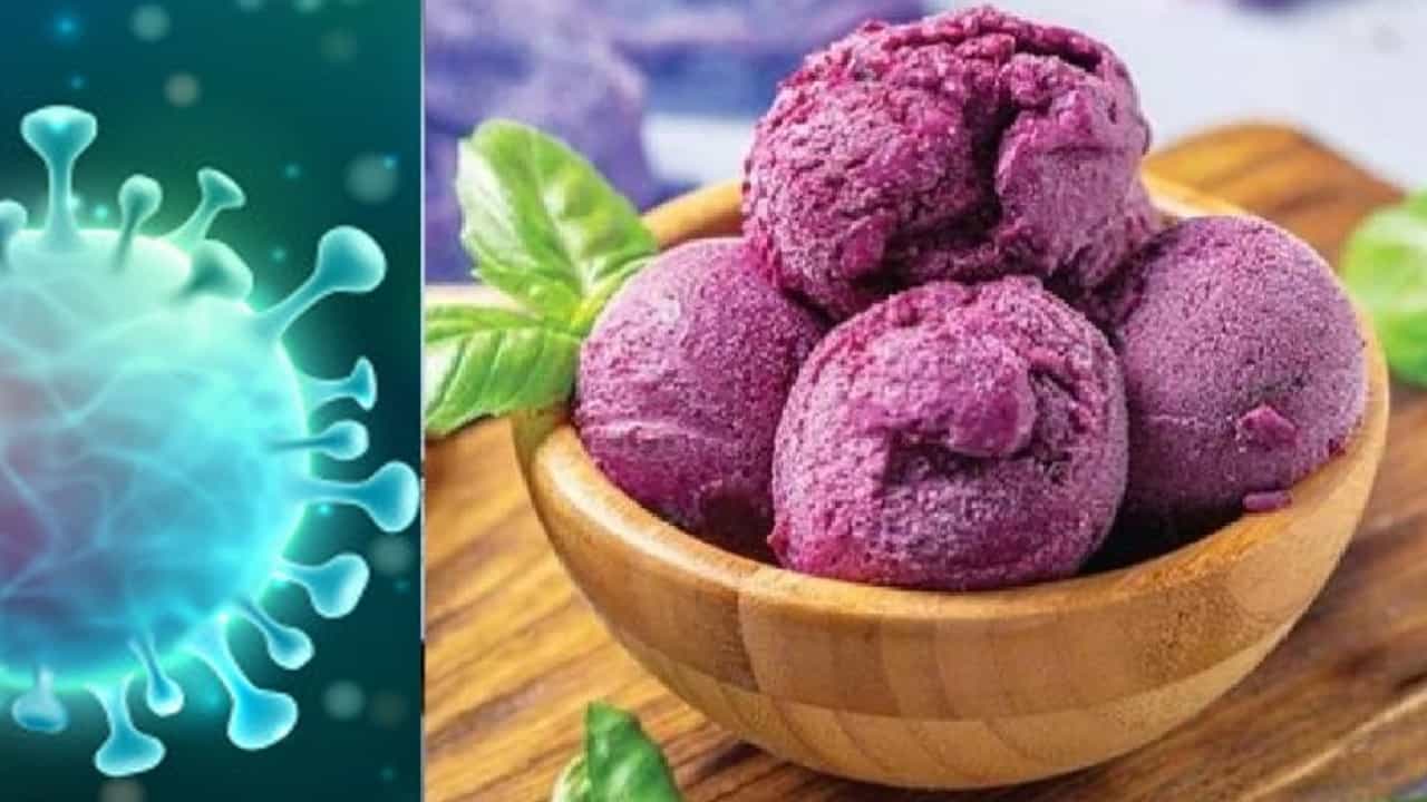 सावधान ! आता आईस्क्रीममध्येही कोरोना विषाणू आढळला, 29,000 बॉक्सपैकी 390 बॉक्सचा शोध सुरु