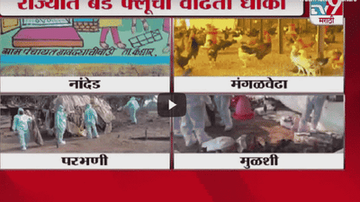 Special Report | कोरोनानंतर महाराष्ट्राला बर्ड फ्लूचा विळखा, सरकारकडून खबरदारीच्या उपाययोजना सुरु