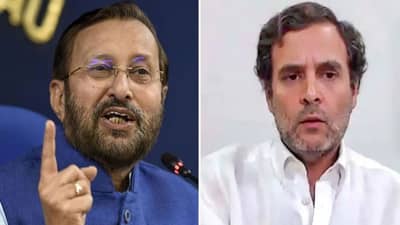 काँग्रेसच्या 50 वर्षाच्या काळातील विनाशकारी नितीमुळेच शेतकरी गरीब, जावडेकरांचं राहुल गांधींना प्रत्युत्तर