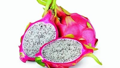 ड्रॅगन फ्रुटच्या वाढत्या प्रसिद्धीचा फायदा घेण्याचा भाजप सरकारचा प्रयत्न? फळाचं चक्क नावच बदललं