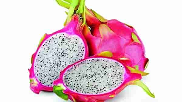ड्रॅगन फ्रुटच्या वाढत्या प्रसिद्धीचा फायदा घेण्याचा भाजप सरकारचा प्रयत्न? फळाचं चक्क नावच बदललं