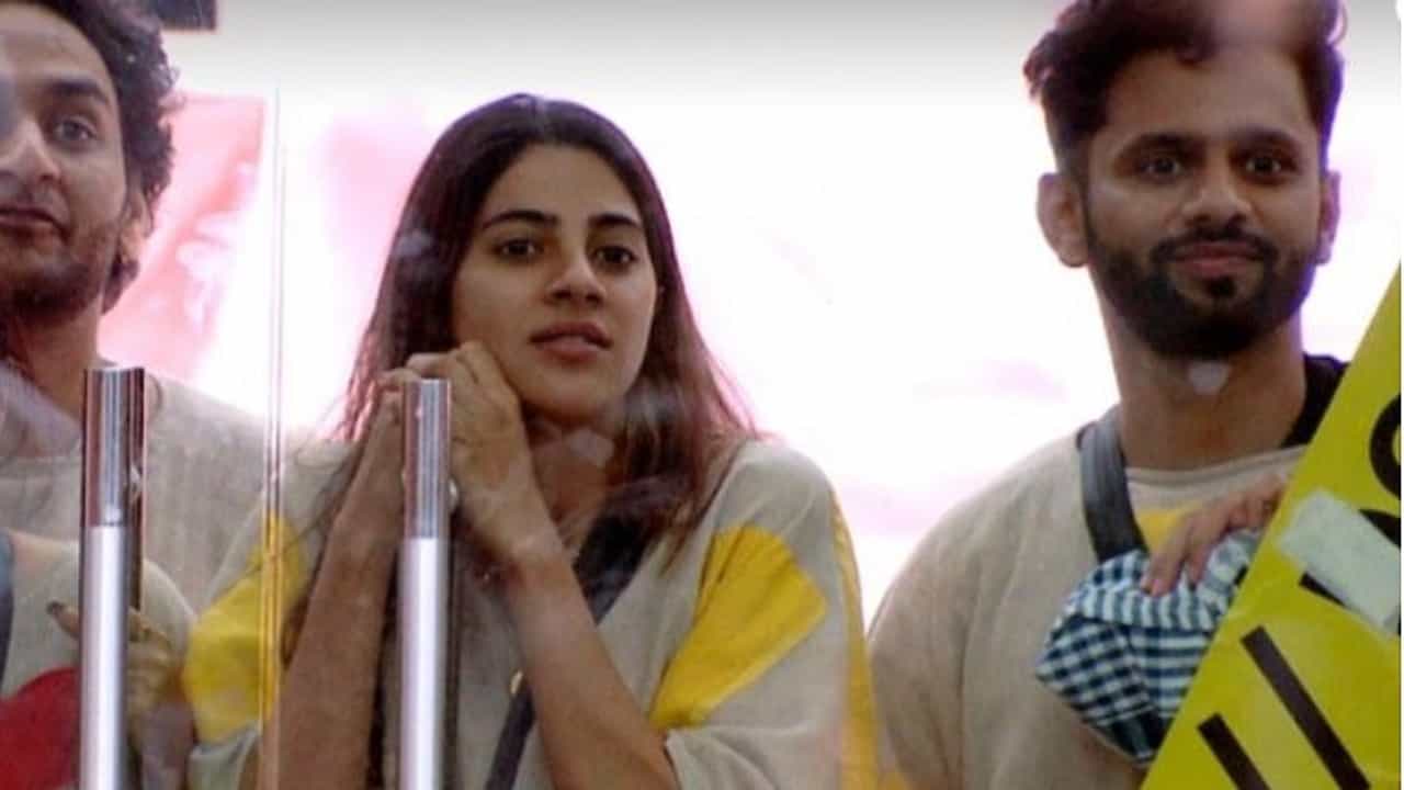 Bigg Boss 14 | निक्की तांबोळी आणि रुबीना दिलैकची हात मिळवणी, अलीचा पारा चढला...