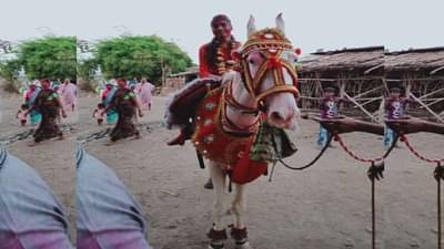 Video: ग्रामपंचायत निकालाची बात न्यारी, गावकऱ्यांकडून विजयी लेकीची थेट घोड्यावरुन मिरवणूक