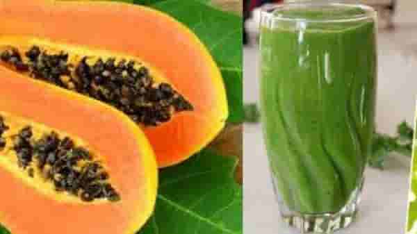 Papaya Leaf | आरोग्यवर्धक पपईच्या पानांचा रसही गुणकारी, वाचा याचे फायदे...