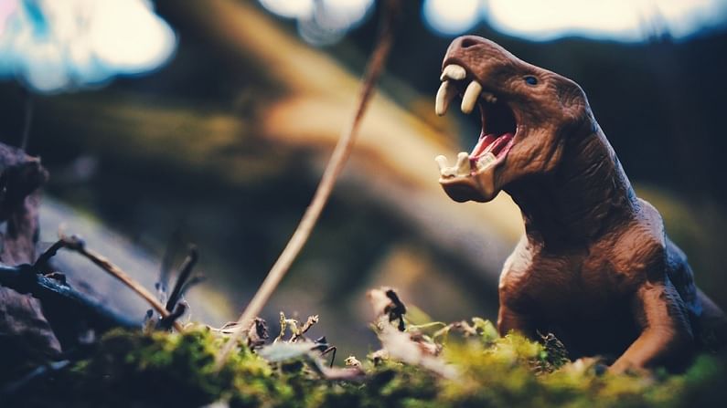 शास्त्रज्ञांच्या हाती लागले डायनासोरचे अवशेष, पृथ्वीवर आतापर्यंतचा सगळ्यात मोठा जीव असल्याचा दावा