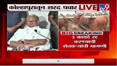 Sharad Pawar | धनंजय मुंडे प्रकरणात खोलात जाण्याचा आमचा निष्कर्ष प्रथमदर्शनी योग्यच : शरद पवार