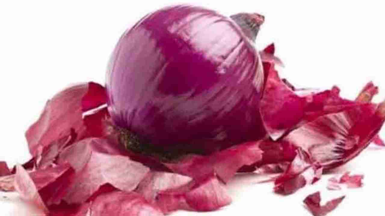 Onion Price Today : कांदा सर्वसामान्यांना रडवणार, लासलगावात कांदा 45 रुपयांवर पोहोचला