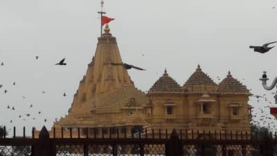 जाणून घ्या आरती करताना घंटी का वाजवतात?, काय आहे याचे धार्मिक आणि वैज्ञानिक महत्व