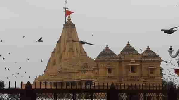 जाणून घ्या आरती करताना घंटी का वाजवतात?, काय आहे याचे धार्मिक आणि वैज्ञानिक महत्व