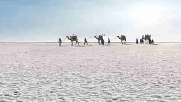 13 वर्षानंतर पाकिस्तानवरुन परतला गुजरातचा मेंढपाळ, 2008 मध्ये चुकीनं गेला होता बॉर्डर पार