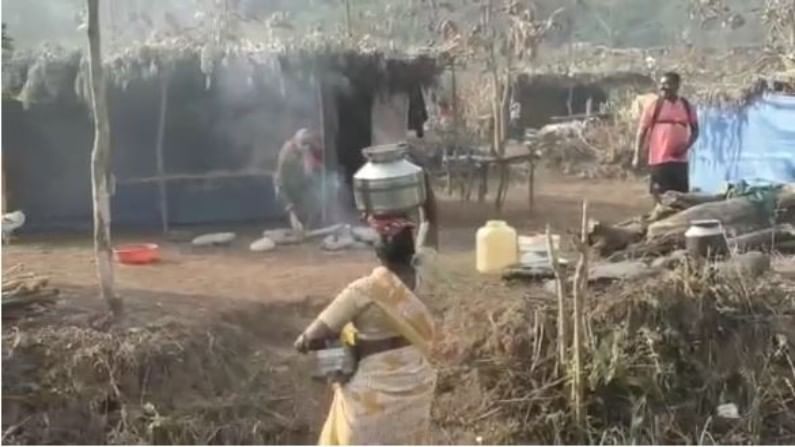कोकणातलं एक गाव सात दिवस सुट्टीवर, गावपळणीच्या परंपरेची समृद्ध बातमी कोकणातलं एक गाव सात दिवस सुट्टीवर, गावपळणीच्या परंपरेची समृद्ध बातमी