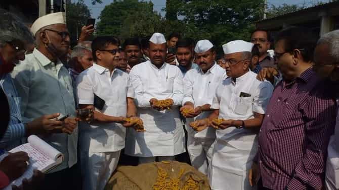 सांगलीत हळद सौद्यांना सुरुवात, सेलम हळदीवर पहिल्याच बोलीला मिळाले....