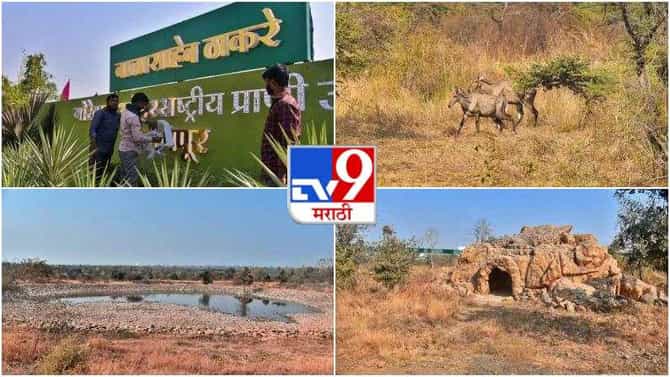 Photos : पर्यटकांच्या भेटीसाठी नागपूरमधील बाळासाहेब ठाकरे आंतरराष्ट्रीय संग्रहालय सज्ज