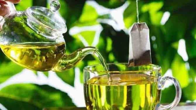 रोगप्रतिकारक शक्ती वाढवण्यासाठी ग्रीन टी जबरदस्त फायदेशीर !