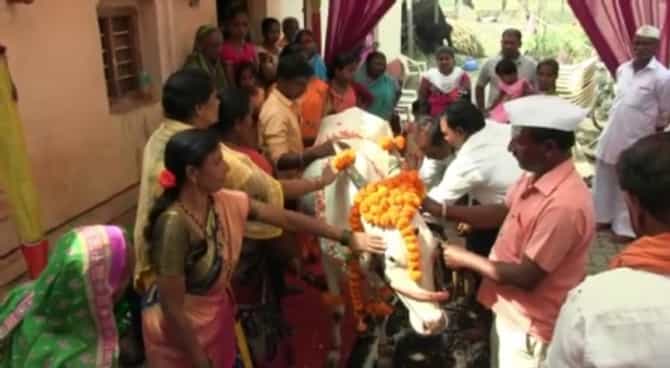 फुलांच्या माळा, खणानारळाची ओटी, गायीच्या डोहाळे जेवणानिमित्त उठल्या गावभर पंगती