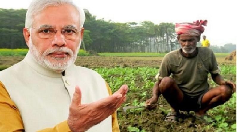 पंजाबमध्ये अनुसूचीत जातीच्या 413 शेतकऱ्यांना पीएम किसानचा लाभ, महाराष्ट्रातील किती शेतकऱ्यांना मिळाले पैसे?