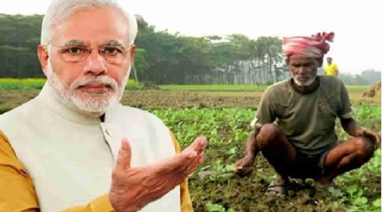 PM-kisan: किसान सन्मान योजनेचा आठव्या हप्त्याची रक्कम होळीनंतर मिळणार, 11 कोटी शेतकऱ्यांना होणार फायदा