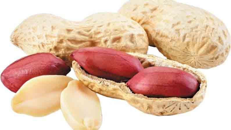 Peanuts Side Effects | शेंगदाण्याच्या अति सेवनाने होऊ शकते आरोग्याचे नुकसान, वाचा याचे दुष्परिणाम