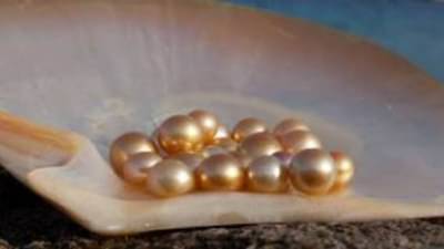 Success Story | मोती शेतीतून बंपर कमाई, 2 हेक्टरमध्ये 30 लाखांचा फायदा मिळवणाऱ्या शेतकऱ्याची गोष्ट