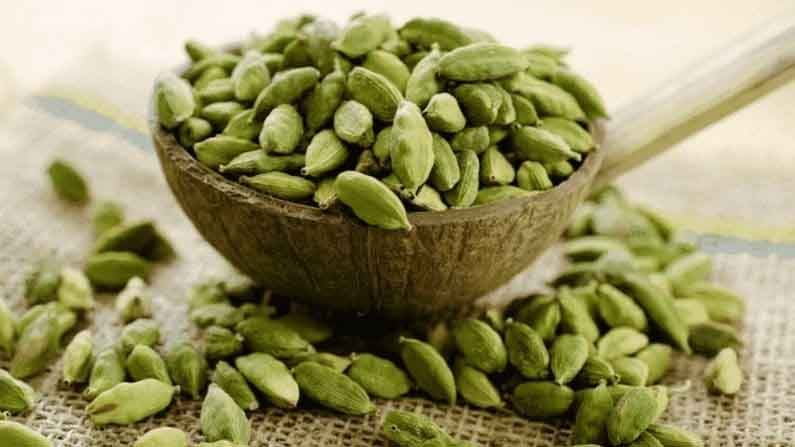 Cardamom Benefits | 'वेलची'चे नियमित सेवन करा आणि 'या' आजारांना दूर पळवा! Cardamom Benefits | 'वेलची'चे नियमित सेवन करा आणि 'या' आजारांना दूर पळवा!