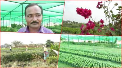 Special Story | अर्ध्या एकरात सुरु केलेल्या नर्सरीचा सात एकरावर विस्तार; 10 लाखांचा नफा मिळवणाऱ्या भंडाऱ्याच्या शेतकऱ्याची यशोगाथा
