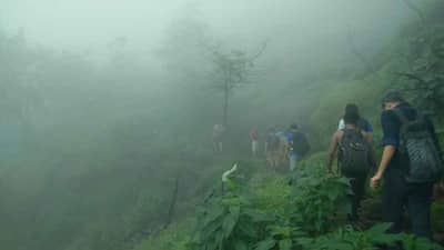 Special Story | महाराष्ट्रातलं कैलास, सह्याद्रीच्या कुशीत वसलेलं भीमाशंकर