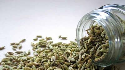 Fennel Benefits | निरोगी शरीरासाठी दुधाबरोबर करा ‘बडीशेप’चे सेवन!