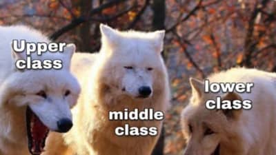 Budget 2021 Memes: मोदी सरकारच्या बजेटनंतर सोशल मीडियावर मिम्सचा पाऊस