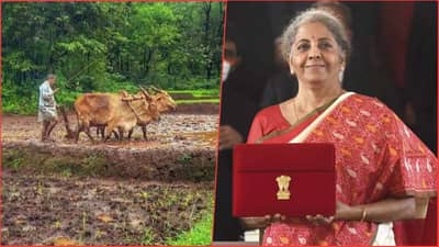 Agriculture Budget 2021: मोदी सरकारनं शेती क्षेत्रासाठी खजिना उघडला? शेतकऱ्यांचं उत्पन्न दुप्पट होणार?
