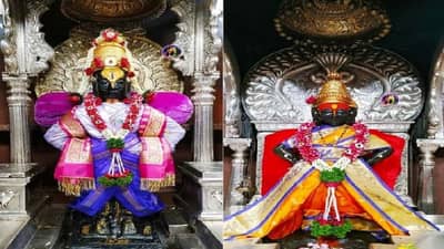 गोरगरीबांची विठ्ठल रखुमाई जमीनदार, पण अर्ध्या अधिक जमीनीवर डल्ला? वाचा सविस्तर