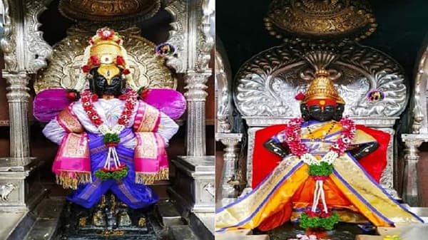गोरगरीबांची विठ्ठल रखुमाई जमीनदार, पण अर्ध्या अधिक जमीनीवर डल्ला? वाचा सविस्तर